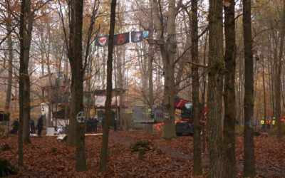 Protestcamp im Langener Wald wird geräumt