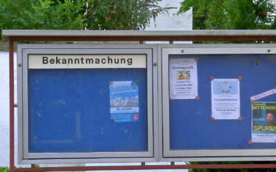 Rechnungshof Rheinland-Pfalz kritisiert Steuergeldverschwendung