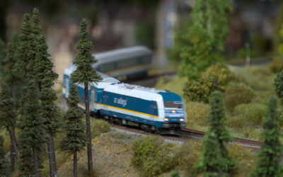 Miniaturwelt im Odenwald