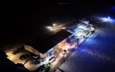 450 Tiere sterben bei Brand in Schweinestall