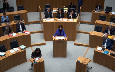 FDP fordert Abschaffung von Verbandsklagen