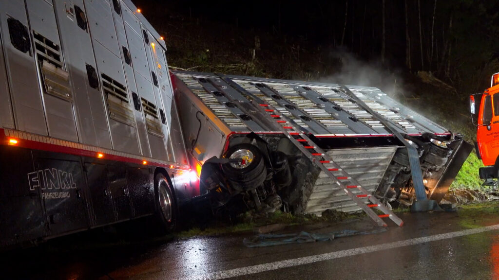 Lastwagen mit Rindern im Westerwald verunglückt