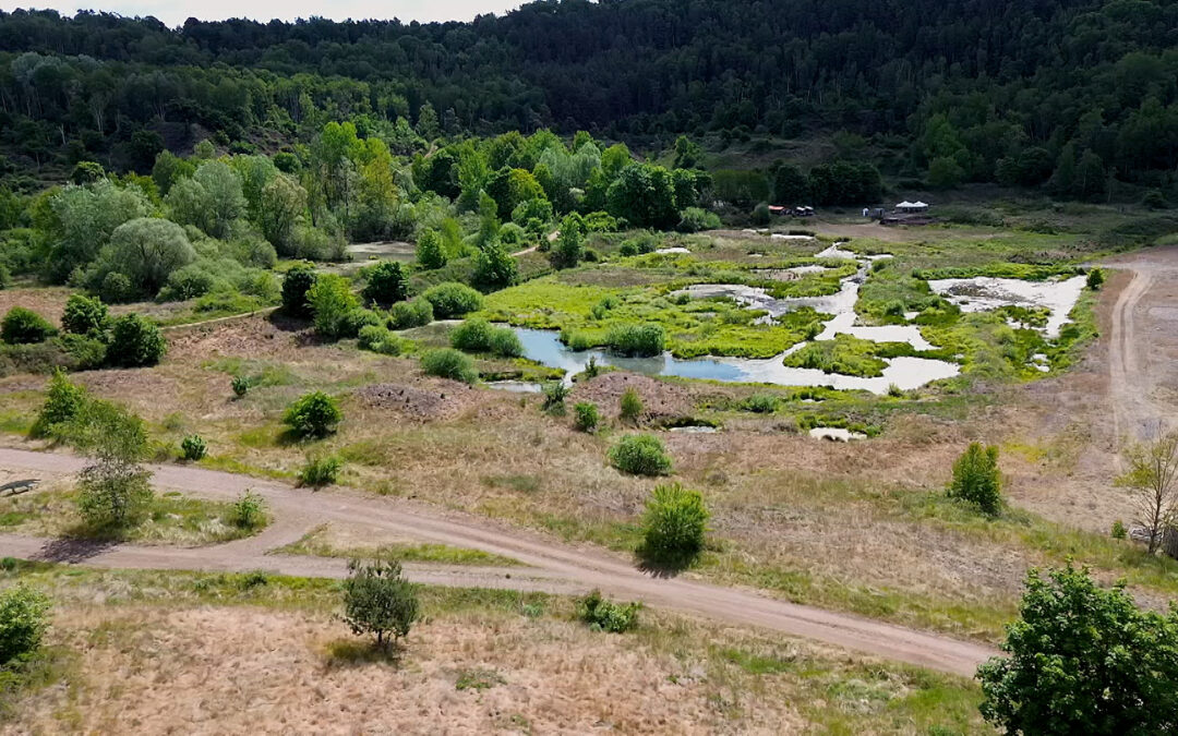 „Ganz schön warm hier“ im Senckenberg Museum