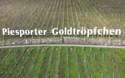 Neue EU-Regelung: Moselwinzer fürchten um „Piesporter Goldtröpfchen“