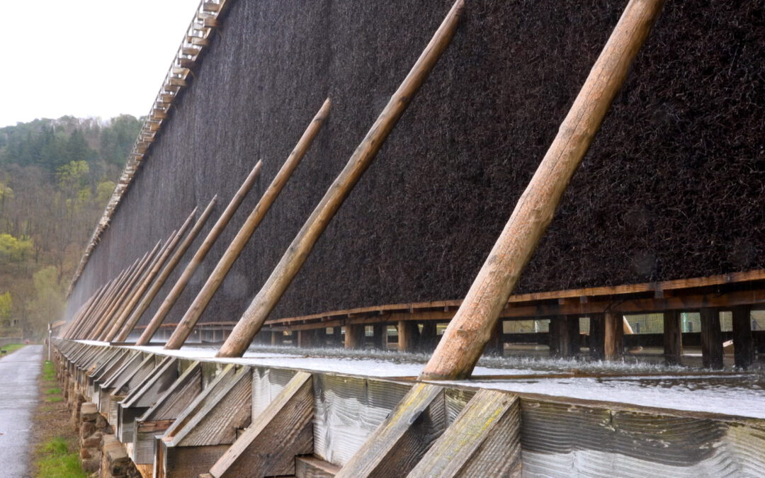 Salinen werden frühlingsfit gemacht