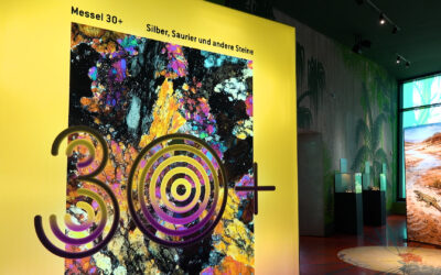 Sonderausstellung zur Grube Messel