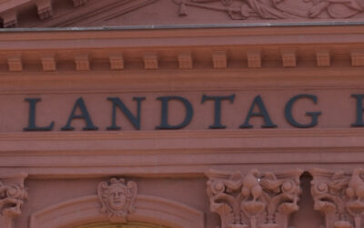 U-Ausschüsse: AfD kritisiert geplante Verfassungsänderung