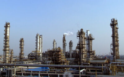 Wirtschaft hofft auf Reformen