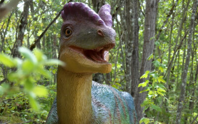 Dinosaurierfund in der Eifel