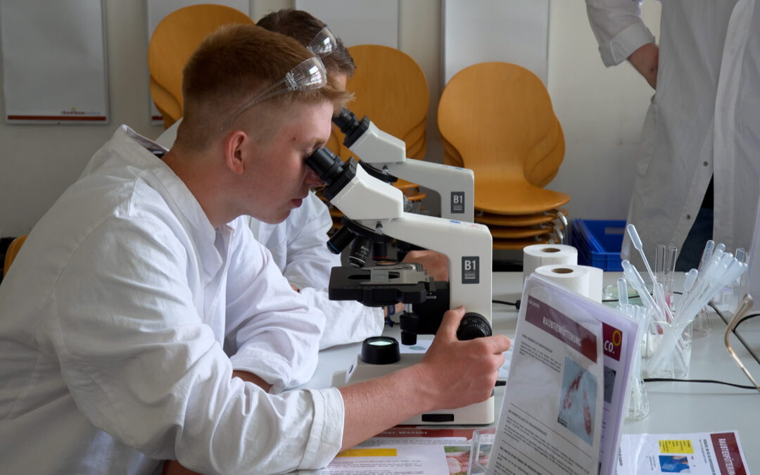 Schüler experimentieren im Chemikum Marburg