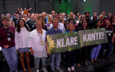 Nach der Landtagswahl: Grüne wählen neue Parteispitze
