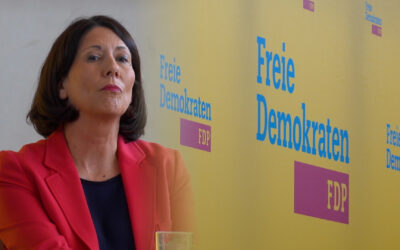 Nach der Landtagswahl: FDP hat neuen Vorsitzenden