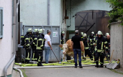 Brand vernichtet Bauernhof in Rüsselsheim