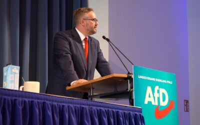 AfD-Parteitag in Bingen