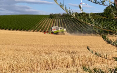 Bauern und Winzer informieren über Ernte