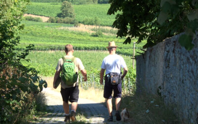 Neue Qualitäts-Wanderwege