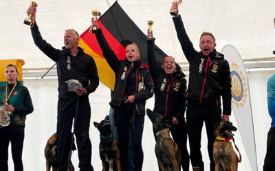 Agility-Weltmeister kommen aus Worms