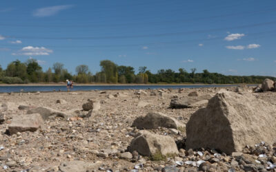 Immer mehr trockene Stellen im Rhein