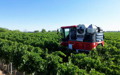 Start der Weinlese