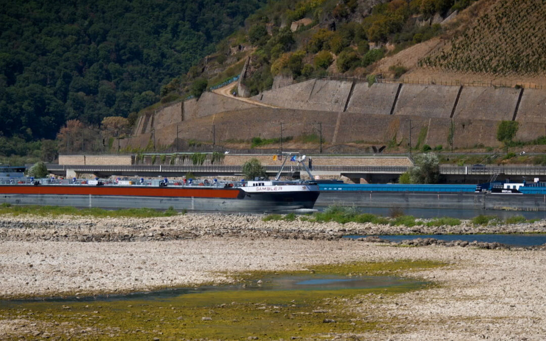 Niedrigwasser bedroht Ökosysteme